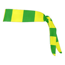 Bandera de Leitrim del país