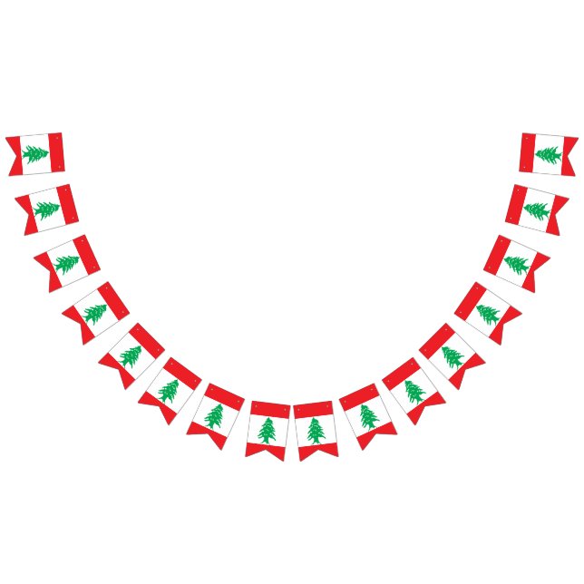 Bandera de Líbano (Todo)