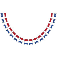 Bandera de los Países Bajos