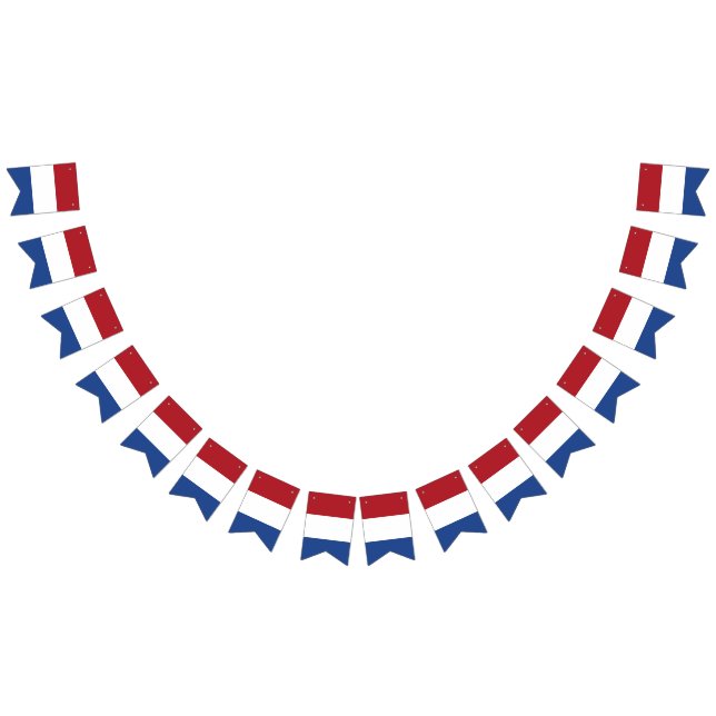 Bandera de los Países Bajos (Todo)