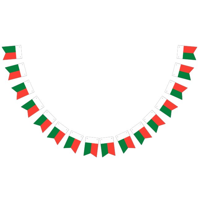 Bandera de Madagascar (Todo)