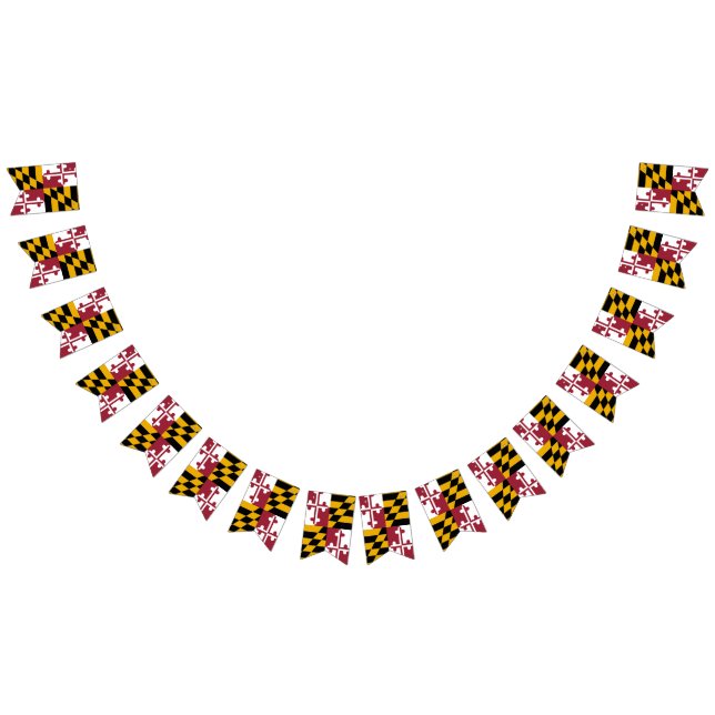 Bandera de Maryland (Todo)