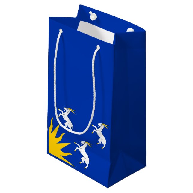 Bandera de Merionethshire Pequeña Bolsa de Regalos (Angulo Anverso)