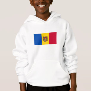Bandera de Moldavia