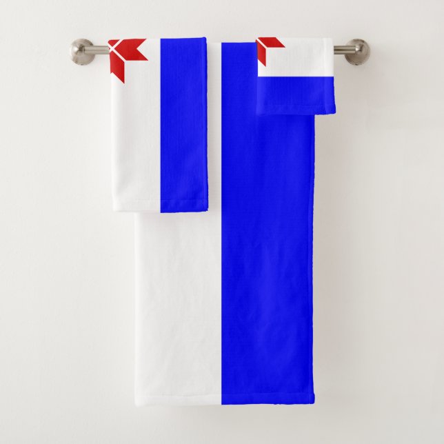 Bandera de Mordovia (In situ)
