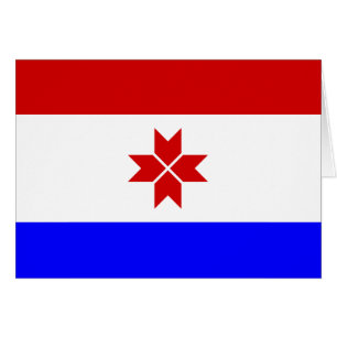 Bandera de Mordovia