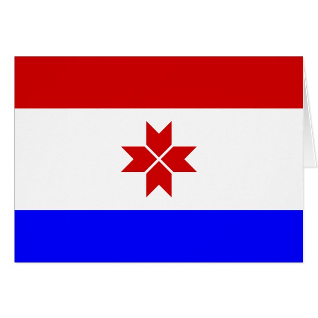 Bandera de Mordovia (Anverso (Horizontal))