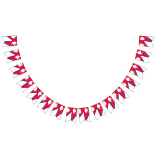 Bandera de Nepal