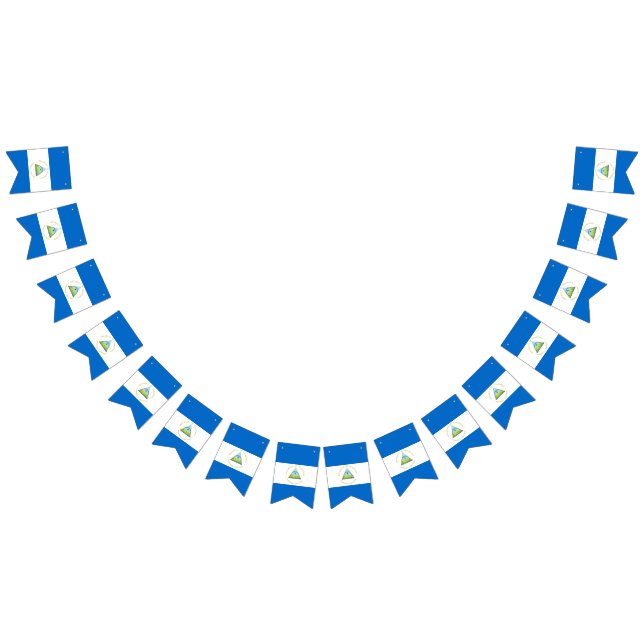 Bandera de Nicaragua (Todo)