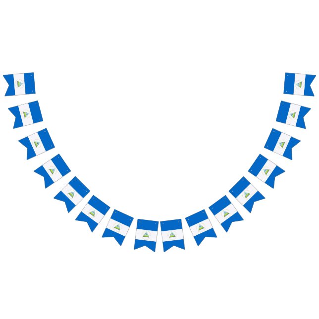 Bandera de Nicaragua (Todo)