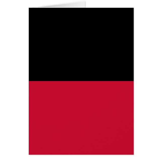 Bandera de Nijmegen (Frente)