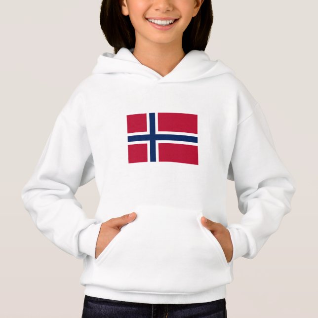 Bandera de Noruega (Anverso)