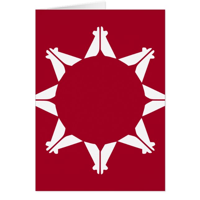 Bandera de Oglala Lakota Sioux (Frente)