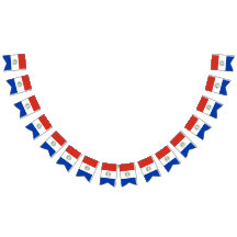 Bandera de Paraguay