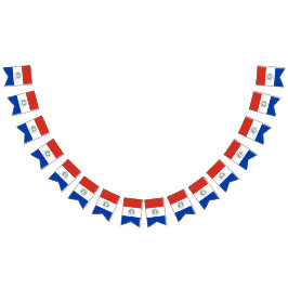 Bandera de Paraguay