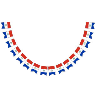 Bandera de Paraguay