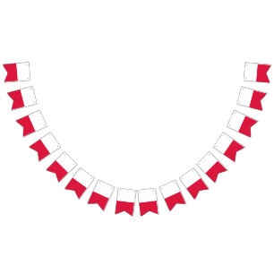Bandera de Polonia