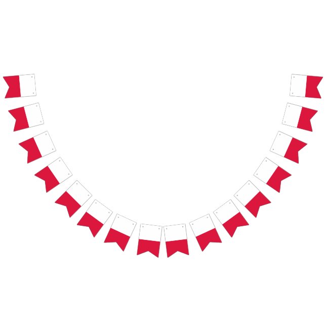 Bandera de Polonia (Todo)