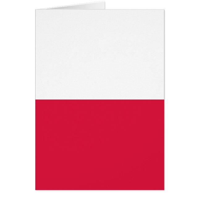 Bandera de Polonia (Frente)