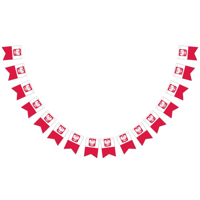 Bandera de Polonia (Todo)