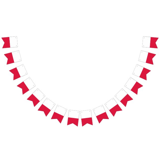 Bandera de Polonia (Todo)