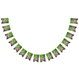 Bandera de rana Taino Coqui