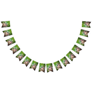 Bandera de rana Taino Coqui