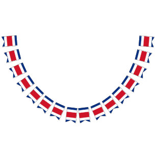 Bandera de Rican de la costa
