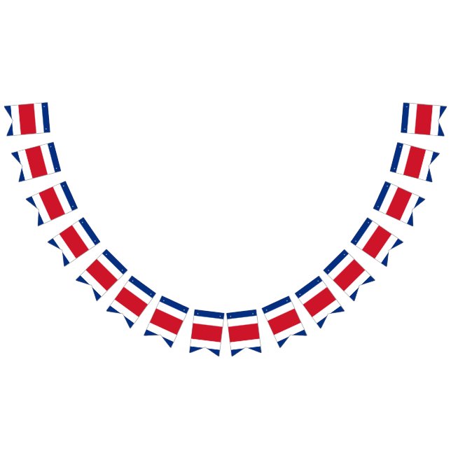 Bandera de Rican de la costa (Todo)