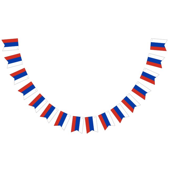 Bandera de Rusia (Todo)