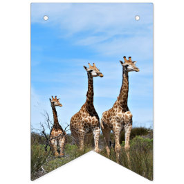 Bandera de Safari Creciendo Alto