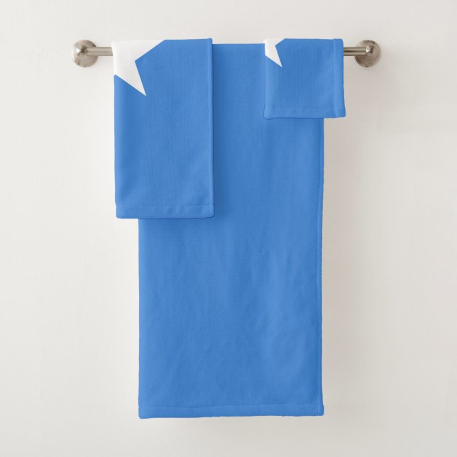 Bandera de Somalia (In situ)