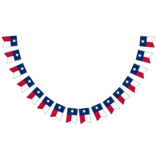 Bandera de Tejas