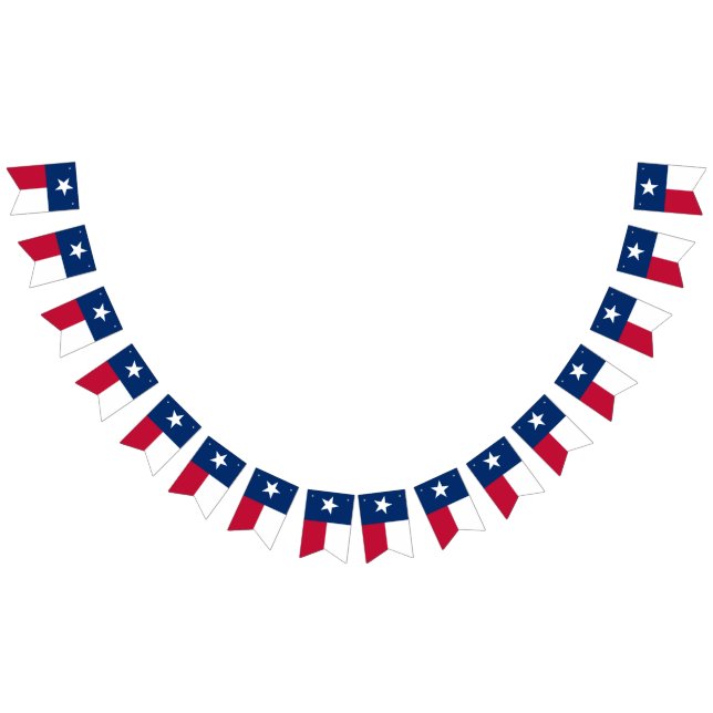 Bandera de Tejas (Todo)