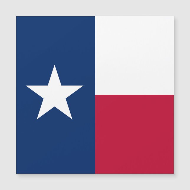 Bandera de Texas: Longhorns, El Estado de la Estre (Anverso)