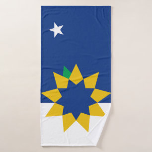 Bandera de Topeka, Kansas
