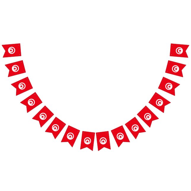 Bandera de Túnez (Todo)