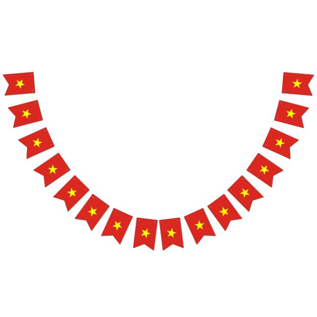 Bandera de Vietnam (Todo)