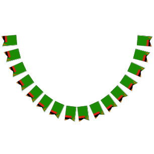 Bandera de Zambia