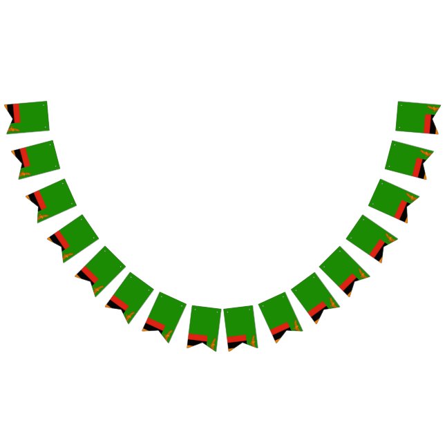 Bandera de Zambia (Todo)