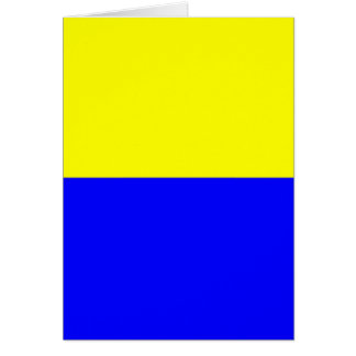Bandera de Zandvoort