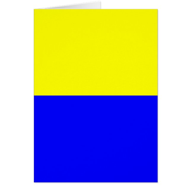 Bandera de Zandvoort (Frente)