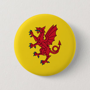 Bandera del botón Pinback de Somerset