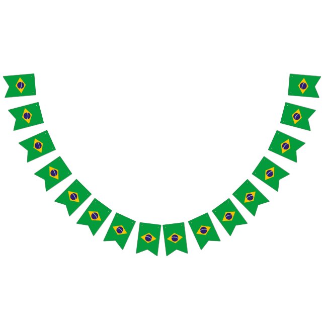 Bandera del Brasil (Todo)