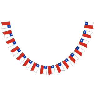 Bandera del Chile