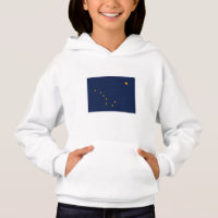 Bandera del estado de Alaska