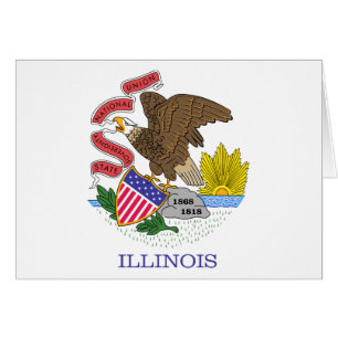 Bandera del estado de Illinois