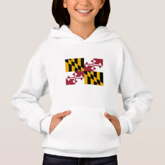 Bandera del Estado de Maryland