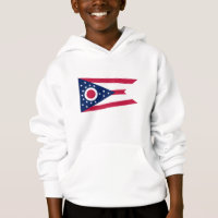 Bandera del estado de Ohio