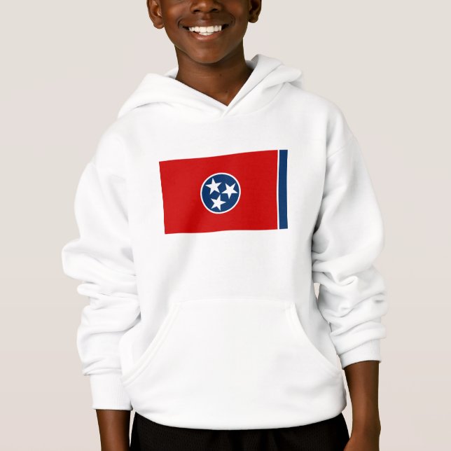 Bandera del estado de Tennessee (Anverso)